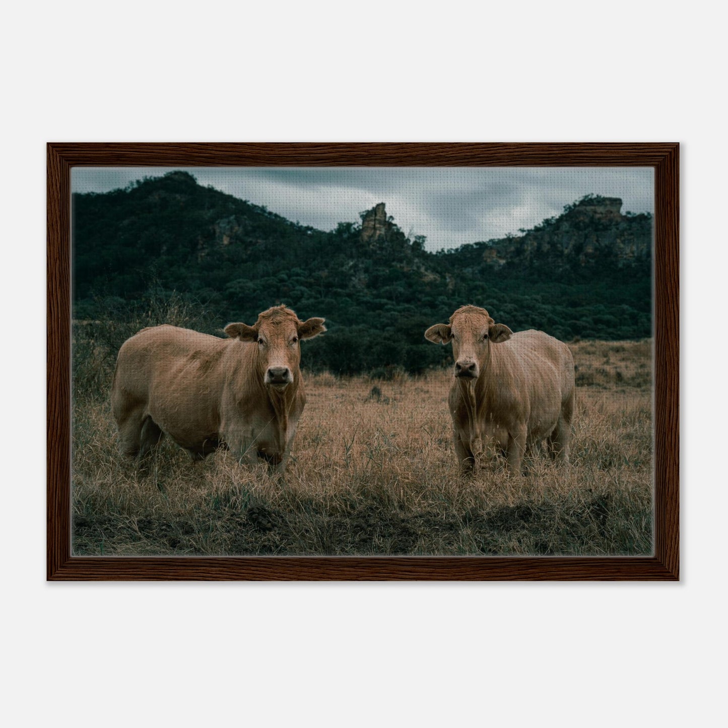 202e421a-061e-49dd-9ff0-ffc7dbac87b5