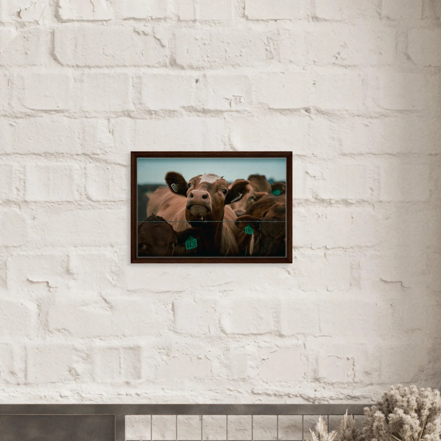 FRAMED CANVAS PRINTS