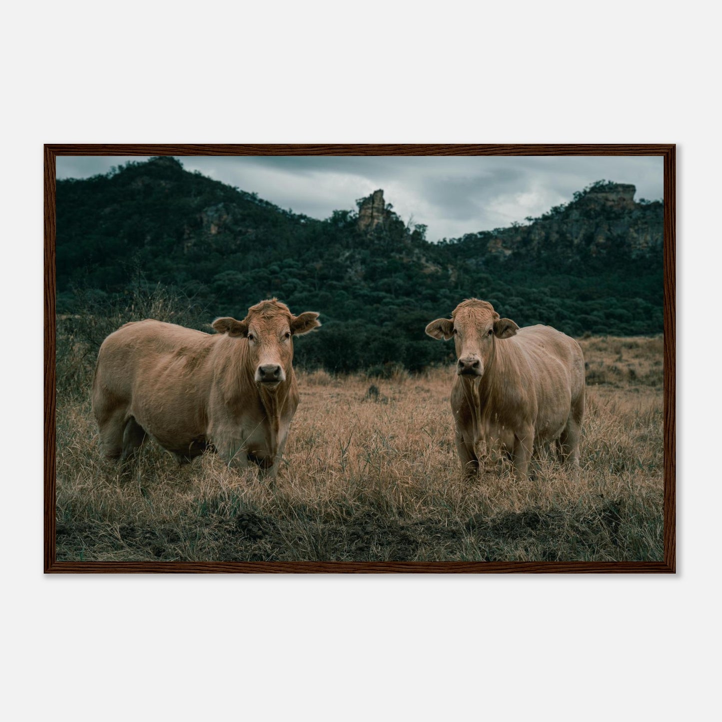 02f56676-c73c-4d10-8699-13fbf6c7ec8a