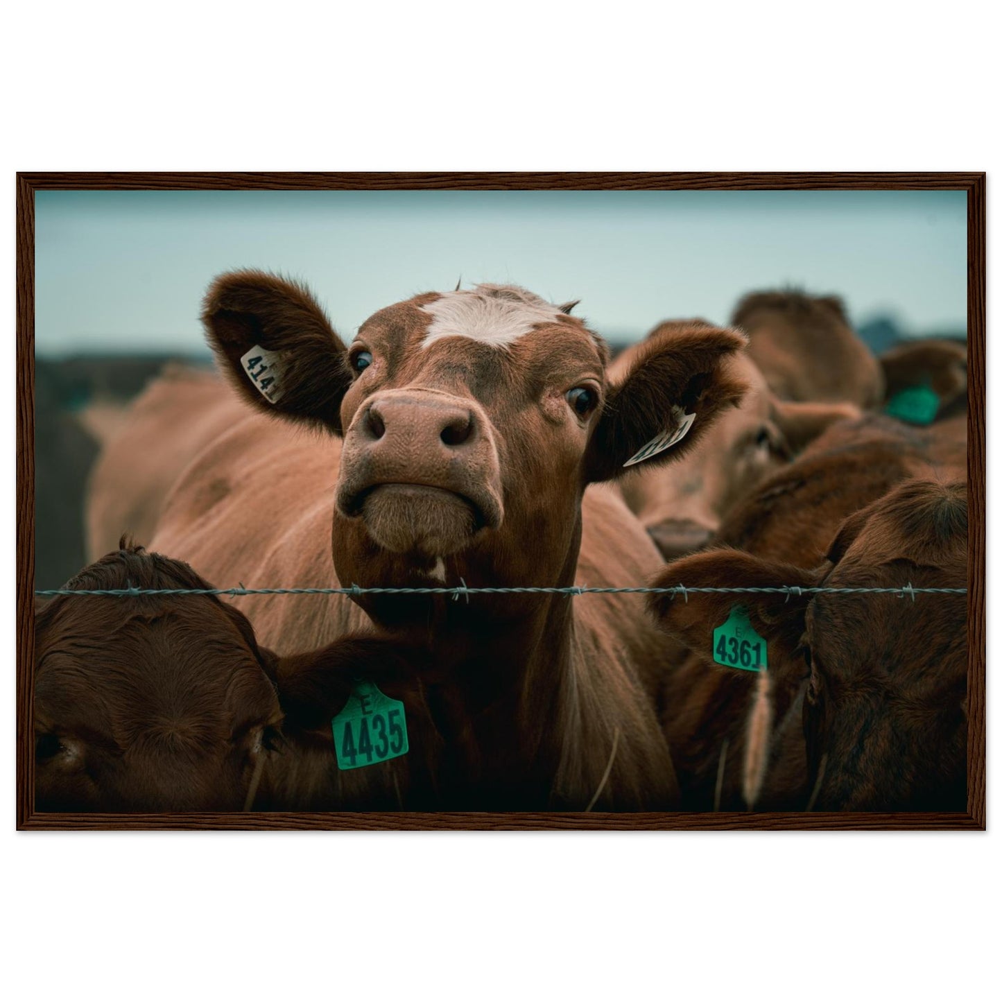 0b22bd3a-578e-4848-8ed2-b8d30253fc3e