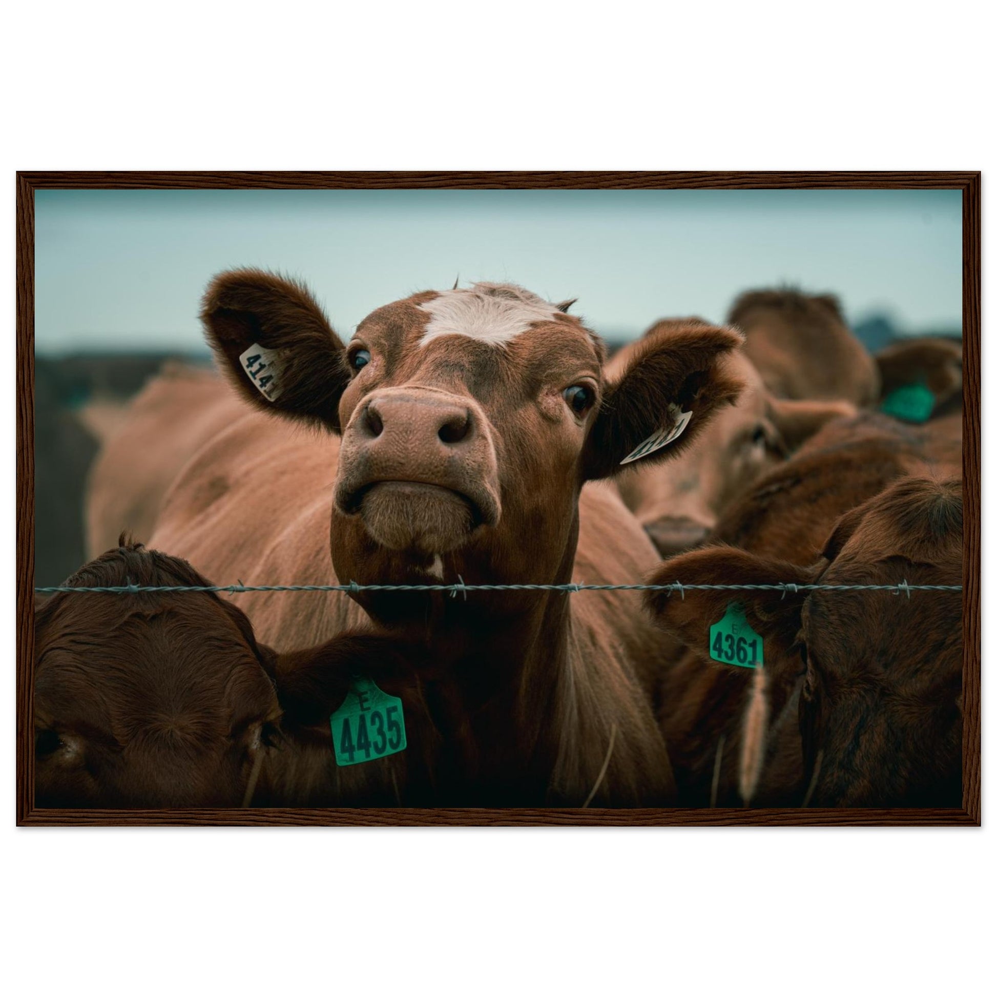 0b22bd3a-578e-4848-8ed2-b8d30253fc3e