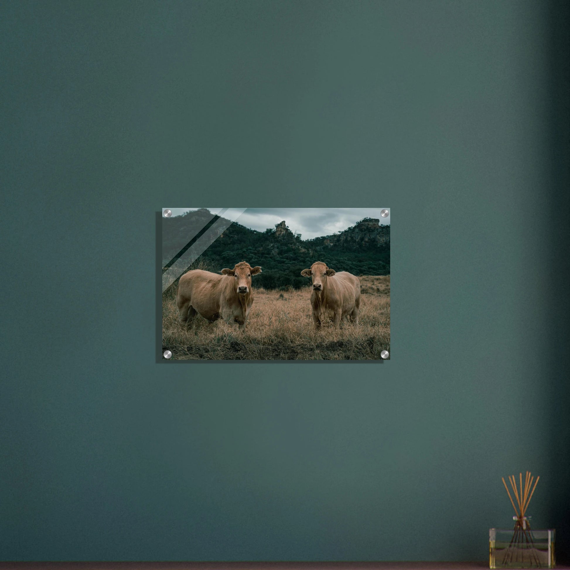 4854938c-8622-4707-b8e4-29356db53482