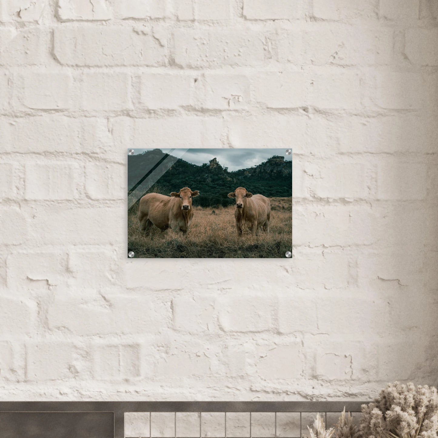 5561184b-a57b-4610-8d57-da7eea5b1d29