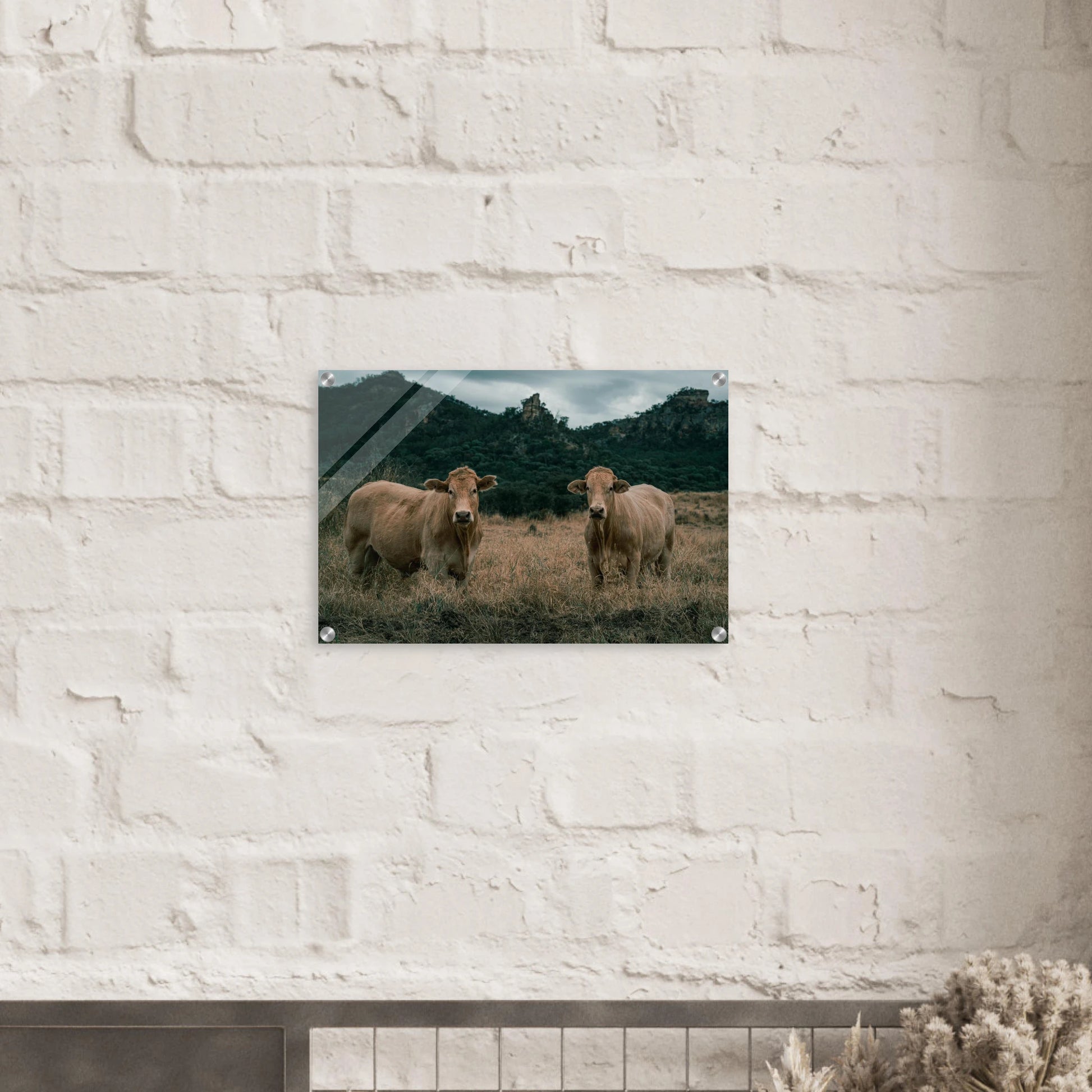 5561184b-a57b-4610-8d57-da7eea5b1d29