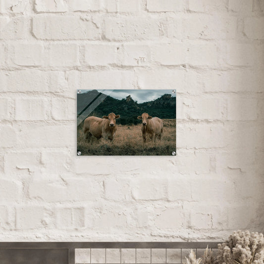 5561184b-a57b-4610-8d57-da7eea5b1d29