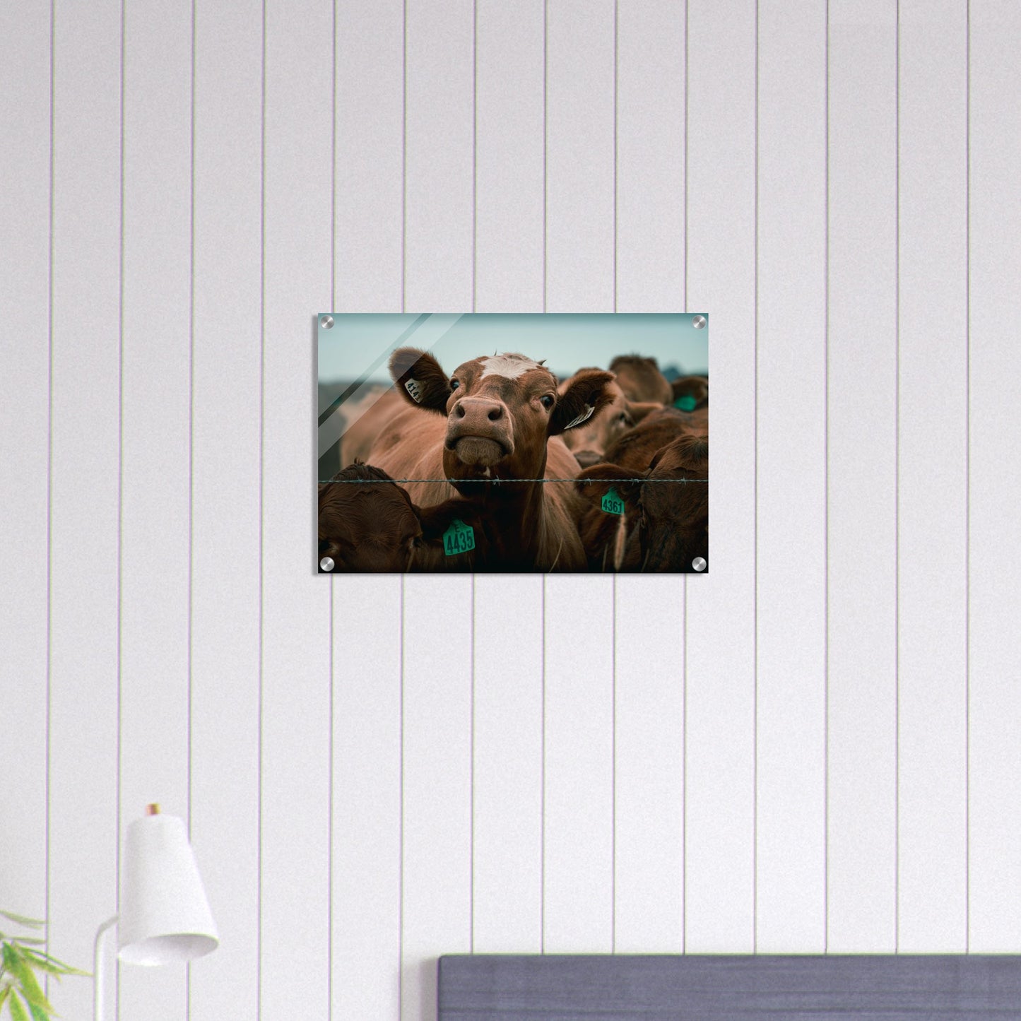 5feda175-4cd8-4e7d-8998-19b7479316c7