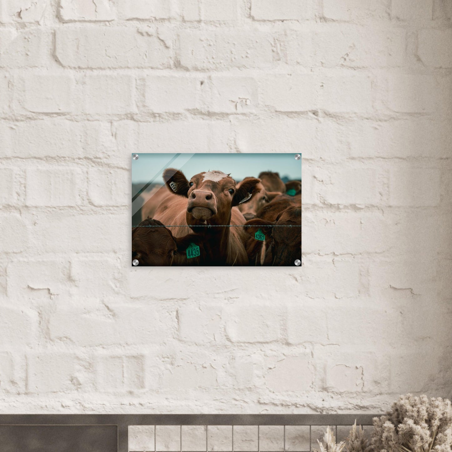 60983c27-1c88-4817-9f92-3d89e22a6cc4