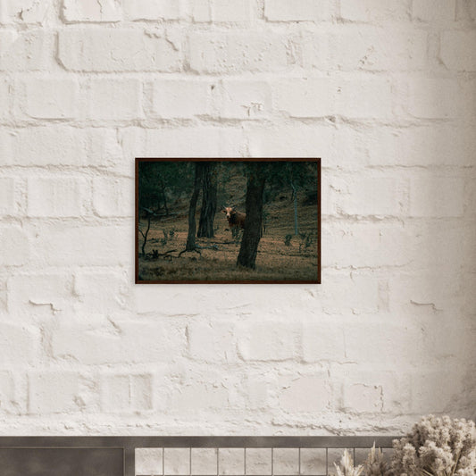 623d206b-d417-4345-8504-b15e24905395