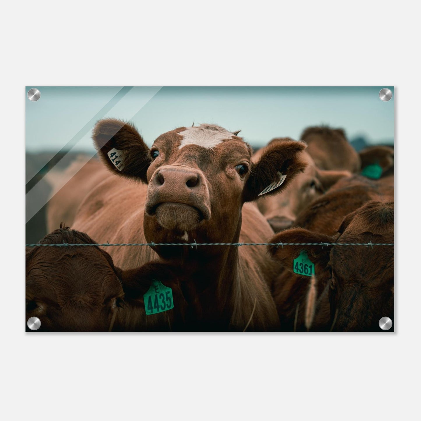 7181f354-9aec-4c37-97b4-a68e1c161702