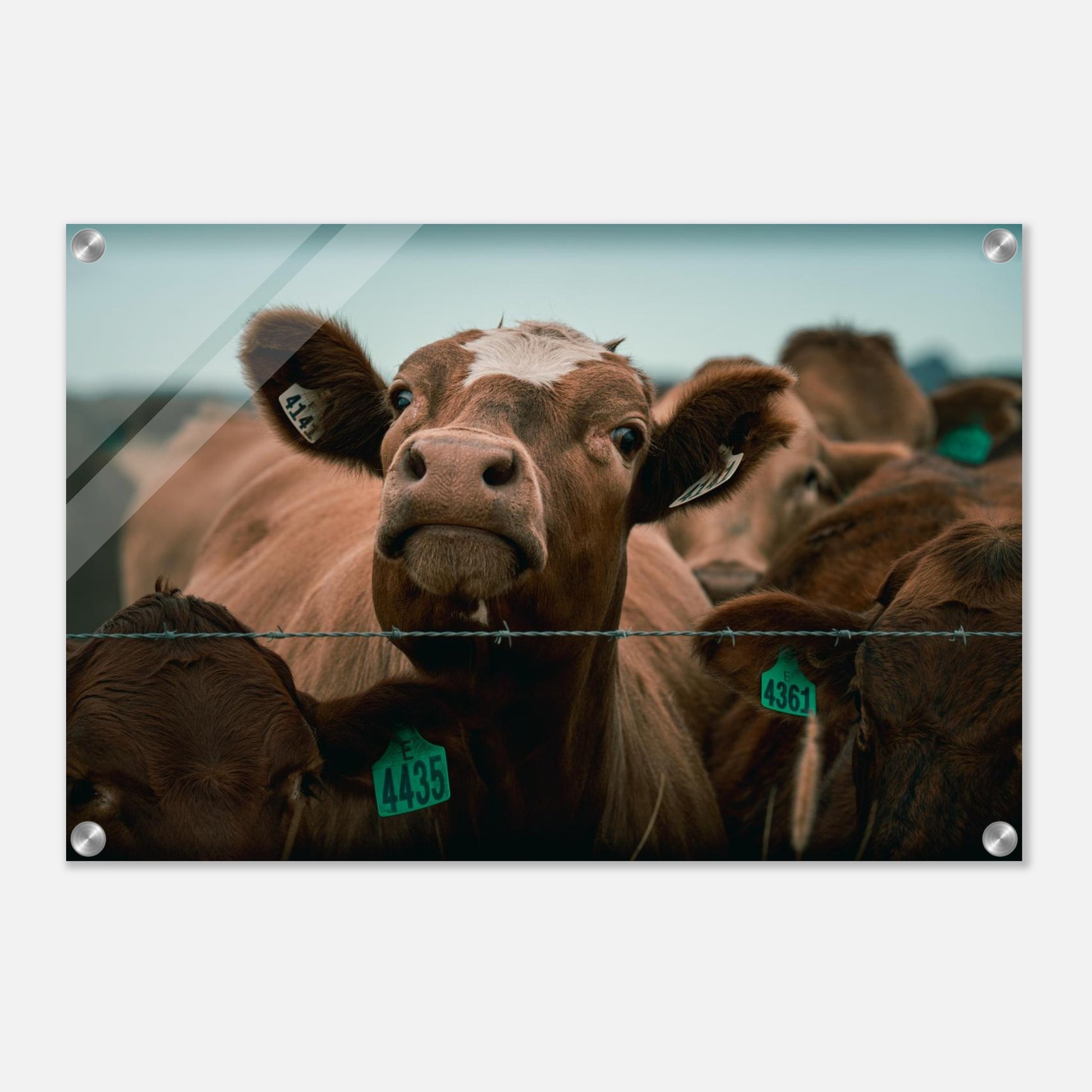 7181f354-9aec-4c37-97b4-a68e1c161702