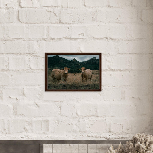 75400fe5-3d2a-4b90-b795-818a36ea3f0f