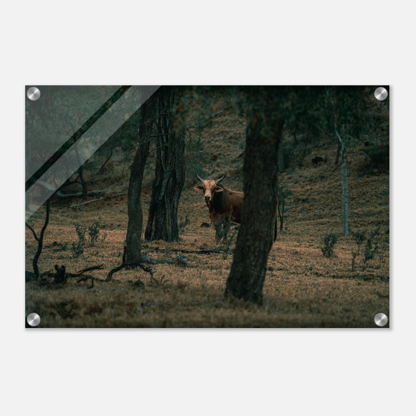 7d648dcc-e5f8-442f-a2df-5f9683c061dd