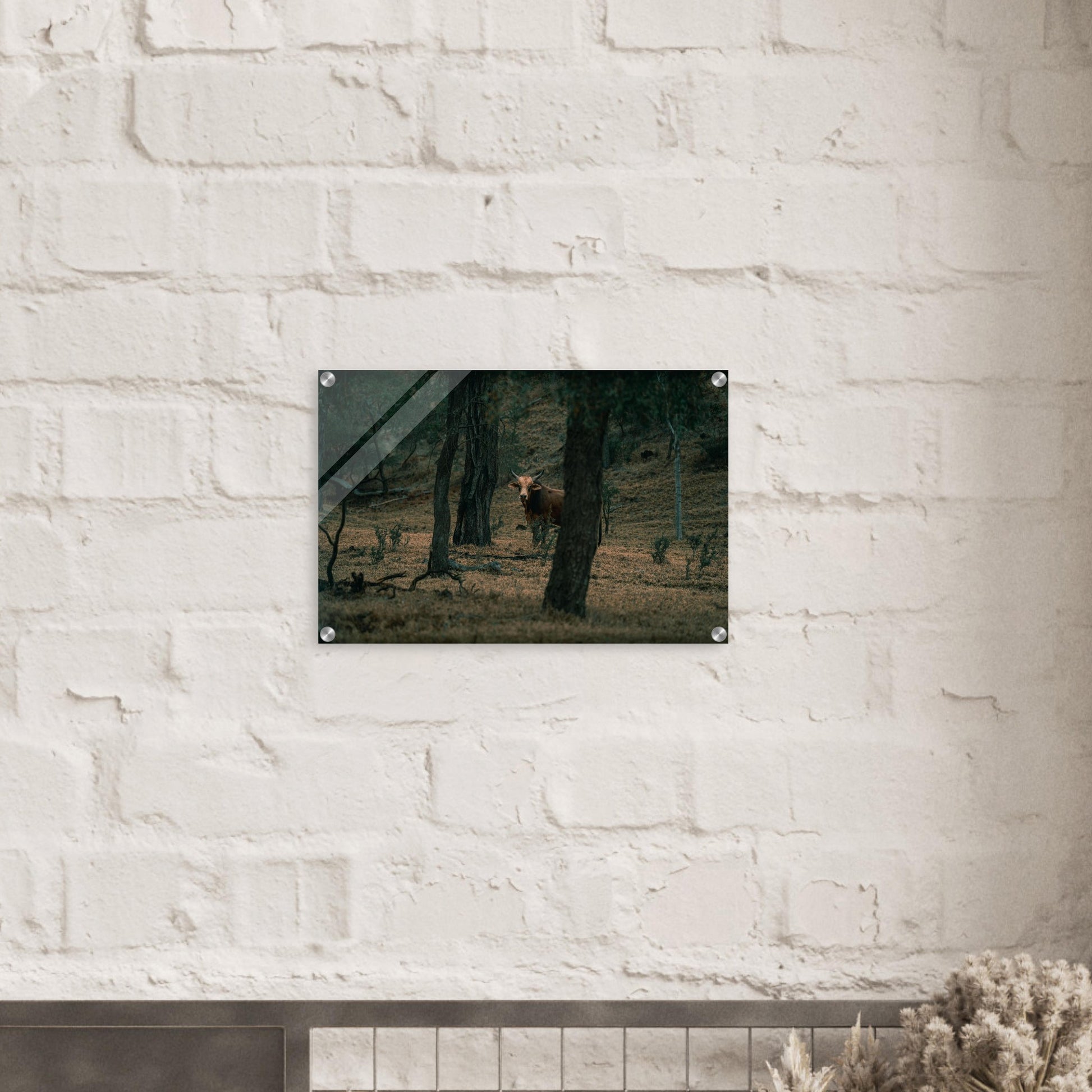 8fa61113-3aca-4855-bce0-514d5486bcb3