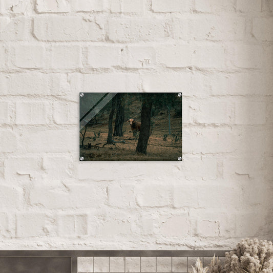 8fa61113-3aca-4855-bce0-514d5486bcb3