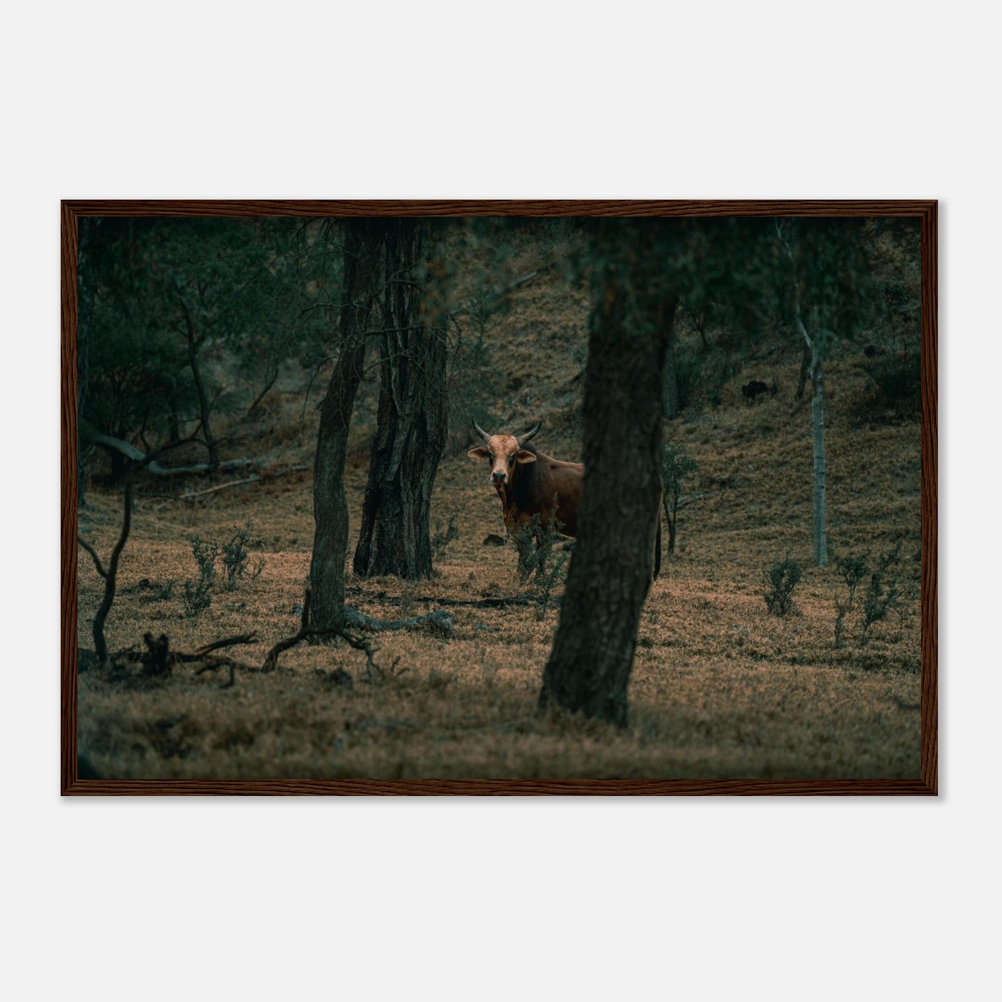 9a5b5d91-490b-4a25-bc67-d9b23b4a1ad6