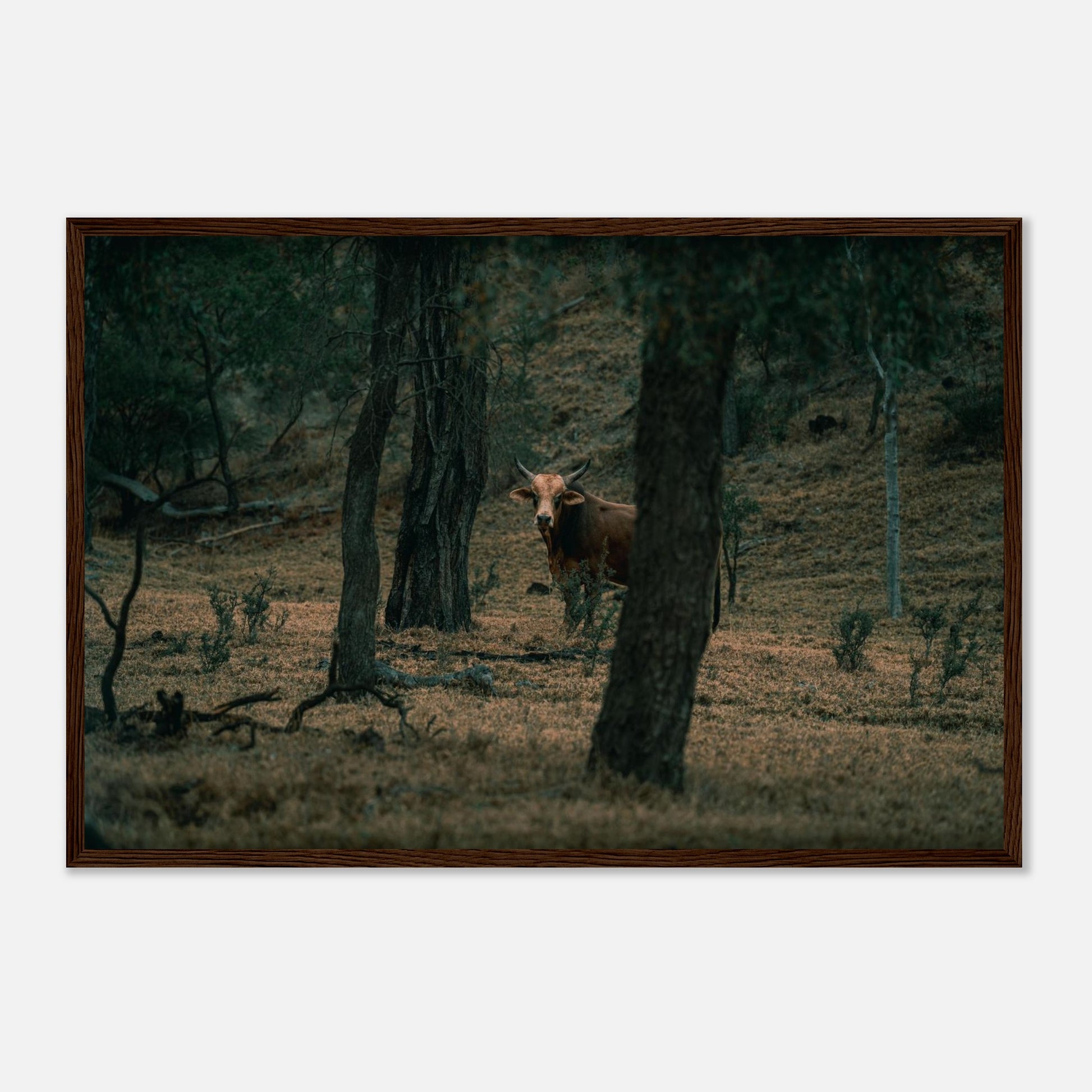 9a5b5d91-490b-4a25-bc67-d9b23b4a1ad6