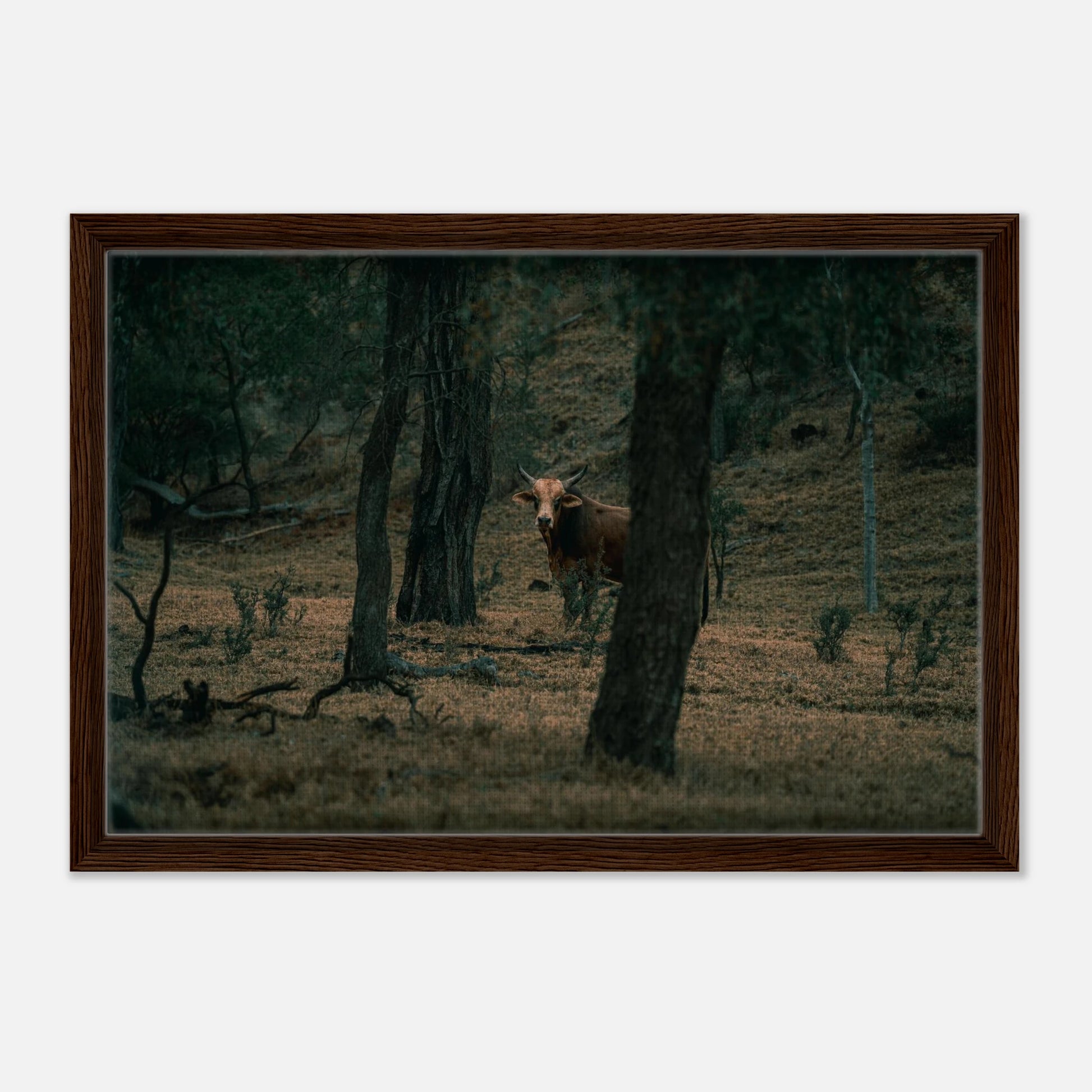 9b8484d0-7f86-45e7-a499-11ab0d1250ea