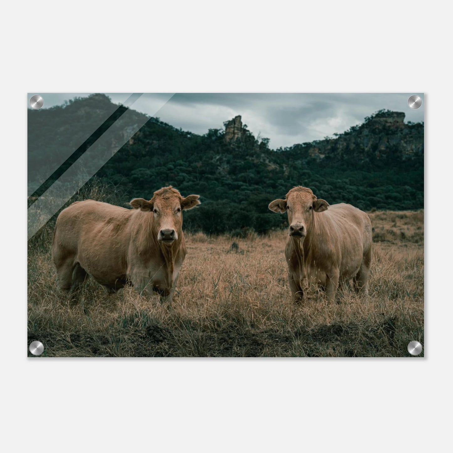 b74c8dc0-4d05-402d-987e-510106ccc11a