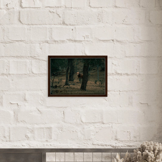 cd52f2e7-ab45-40f9-9e70-8aa3645c525c