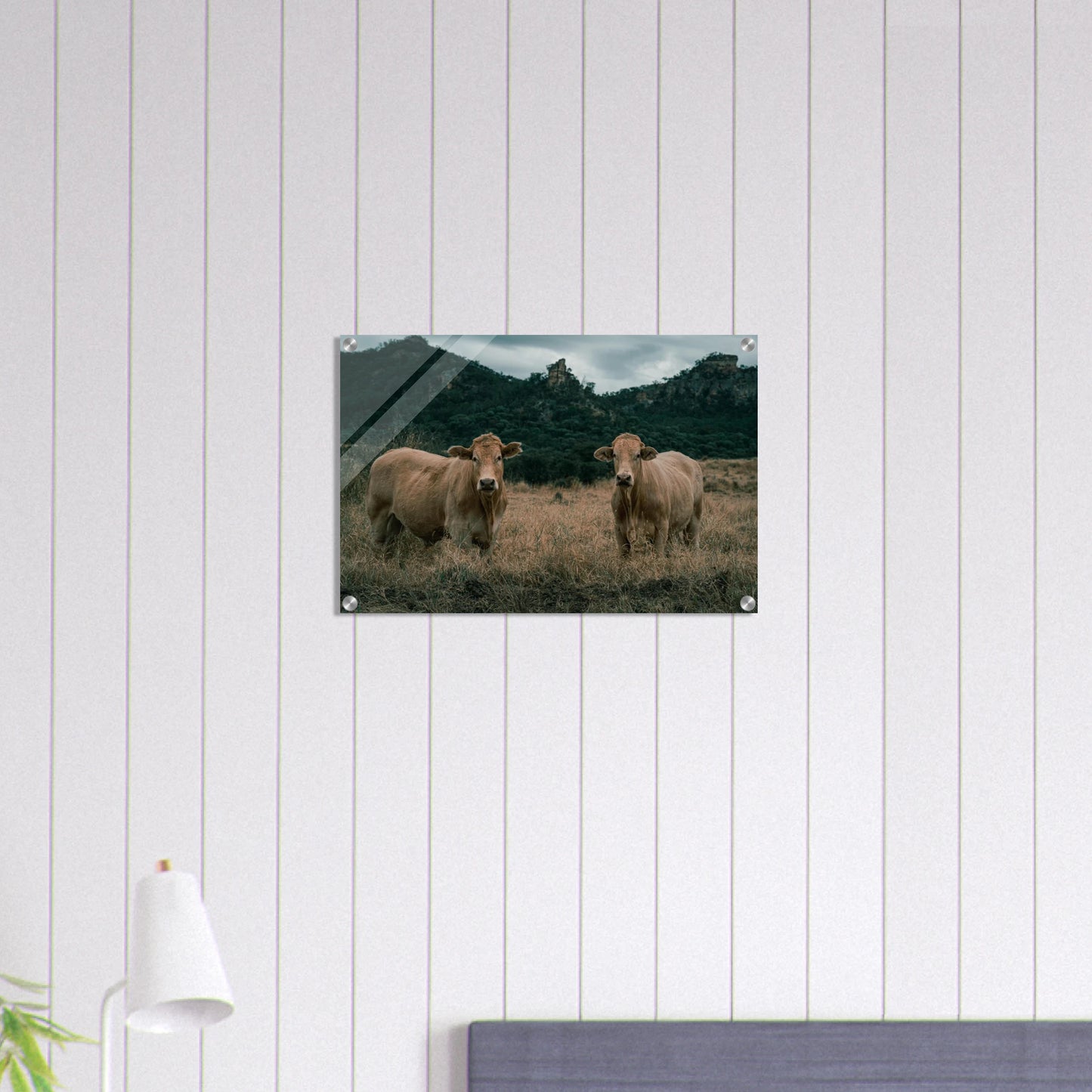 d531e753-e815-4ada-96e5-ba7e63862512