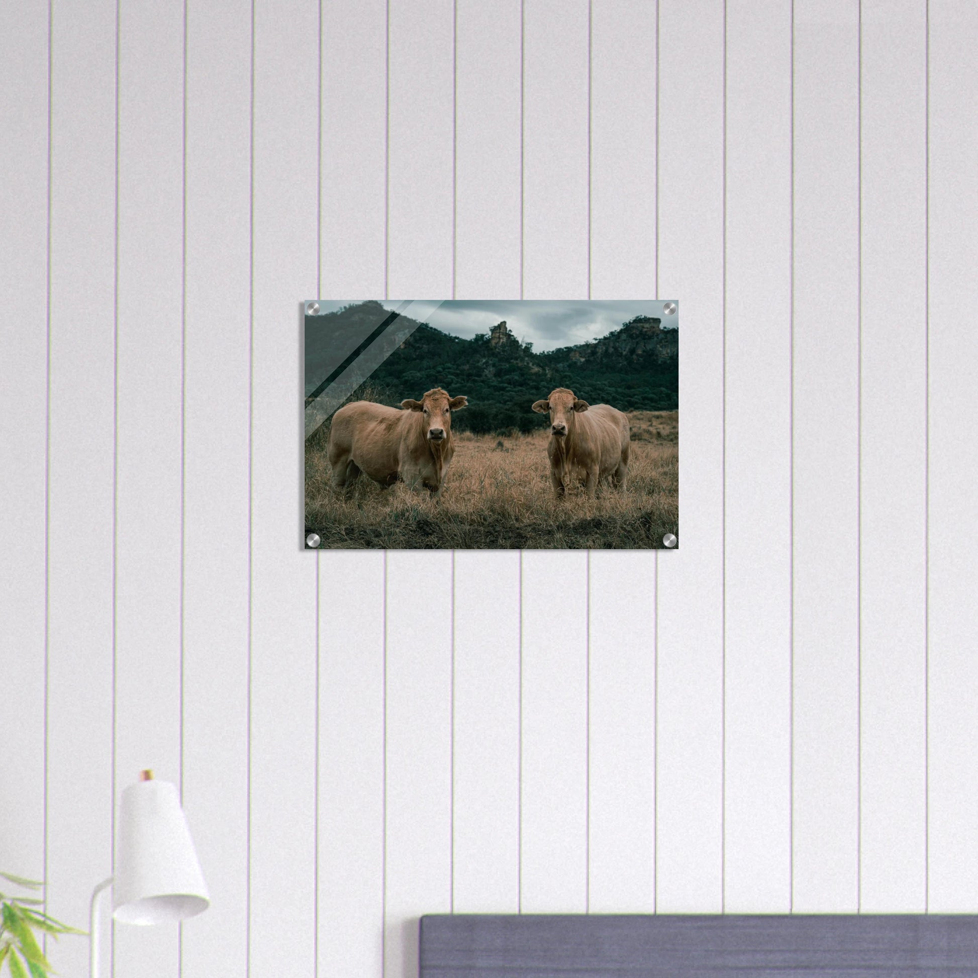 d531e753-e815-4ada-96e5-ba7e63862512