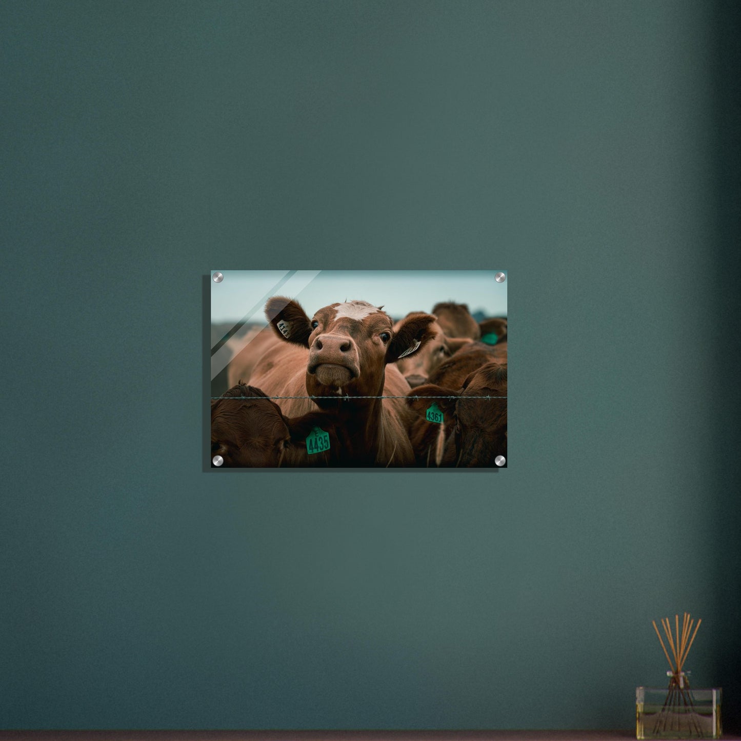 eb901e14-c39b-40d8-8baf-abe40c29fd06